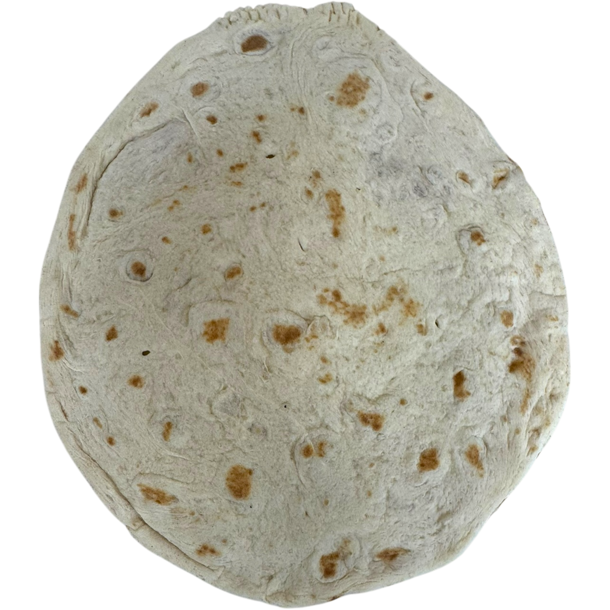 Fresh Tabon Nan Bread – 4 Soft Loaves