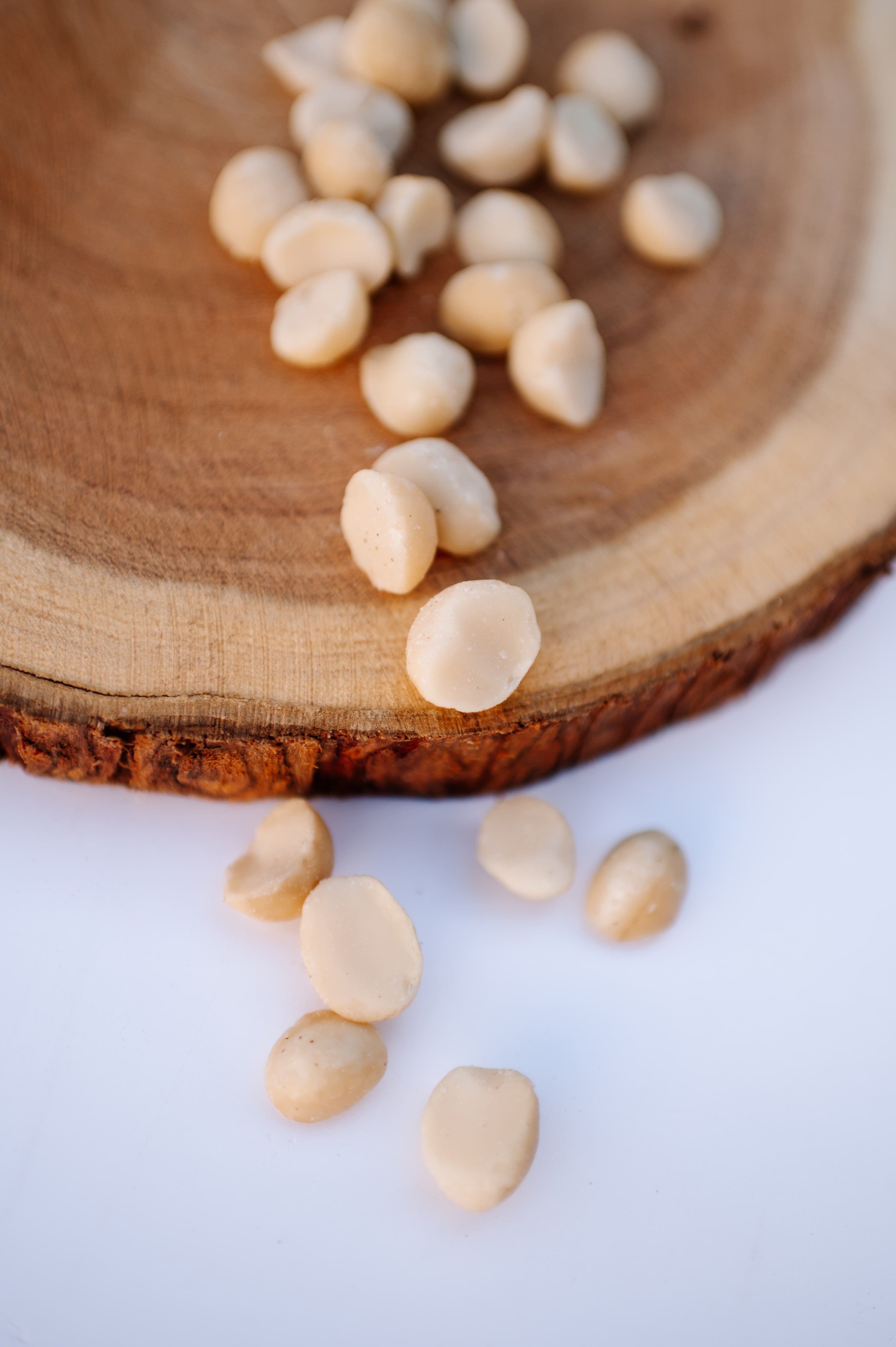 Raw Macadamia Nuts (2 lbs)